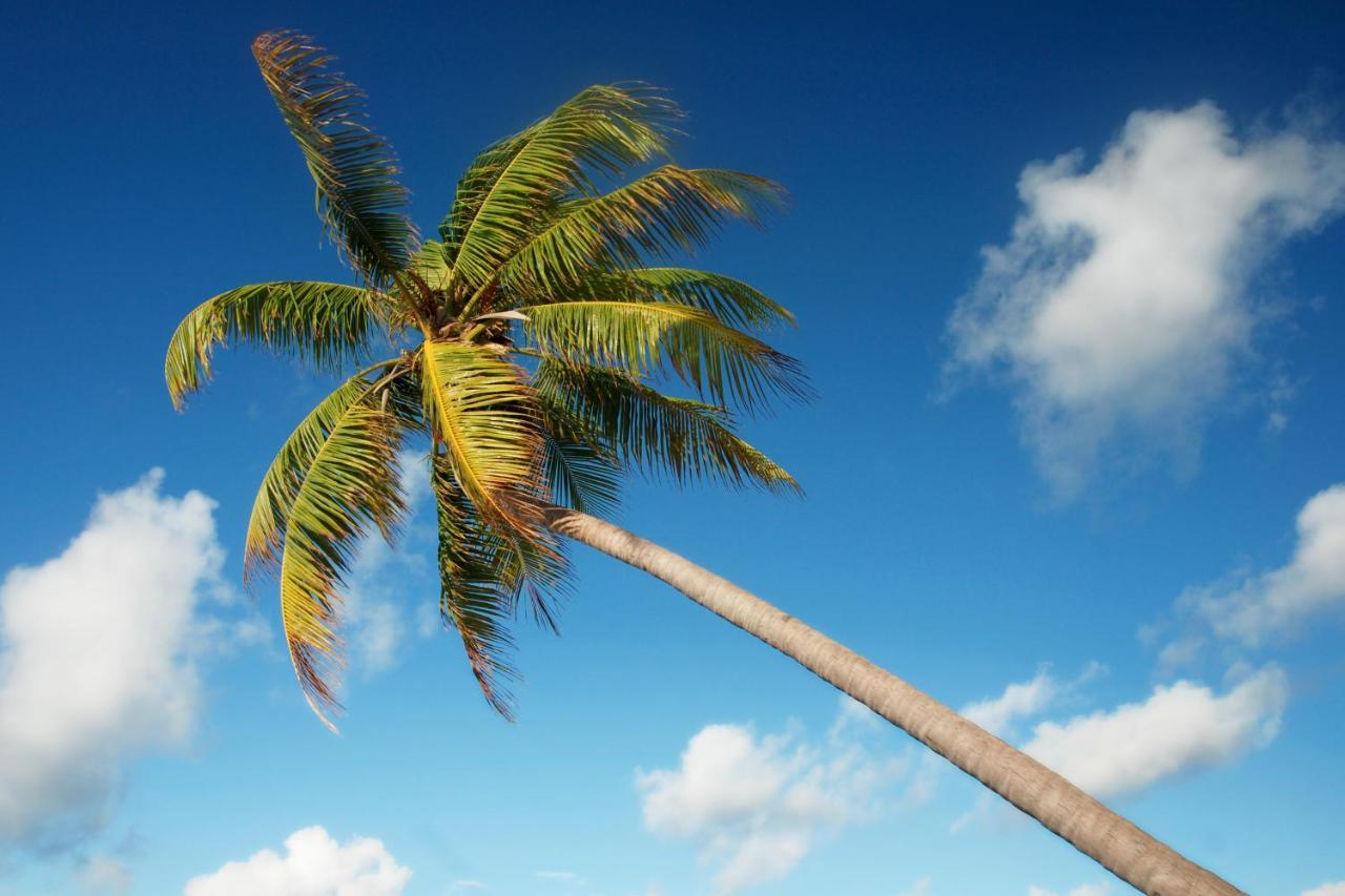 Araam Stay Hulhumalé Exteriér fotografie